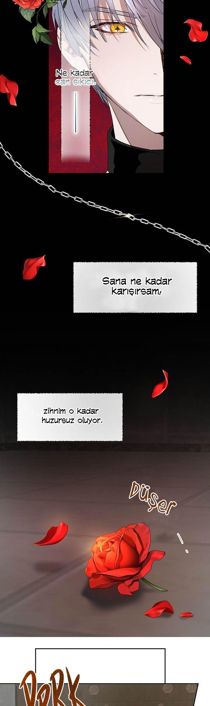 9-cm2xdfr0s0001tt82570od8ls