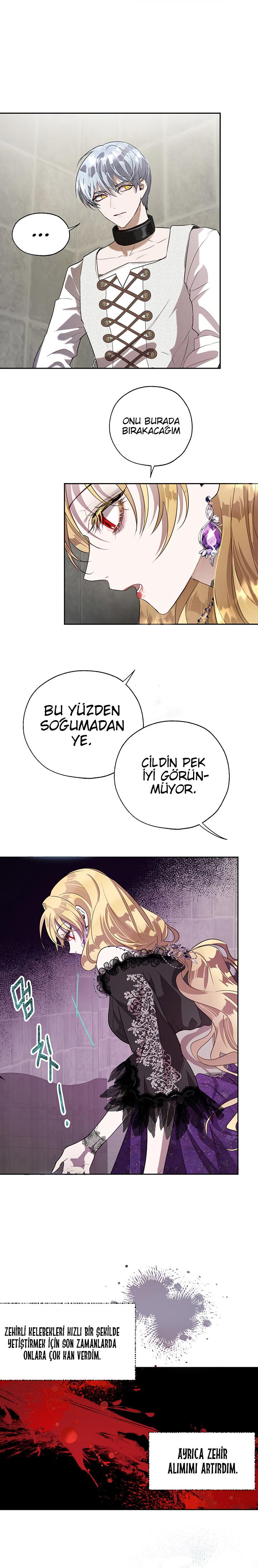 4-cm2xdfr0s0001tt82570od8ls