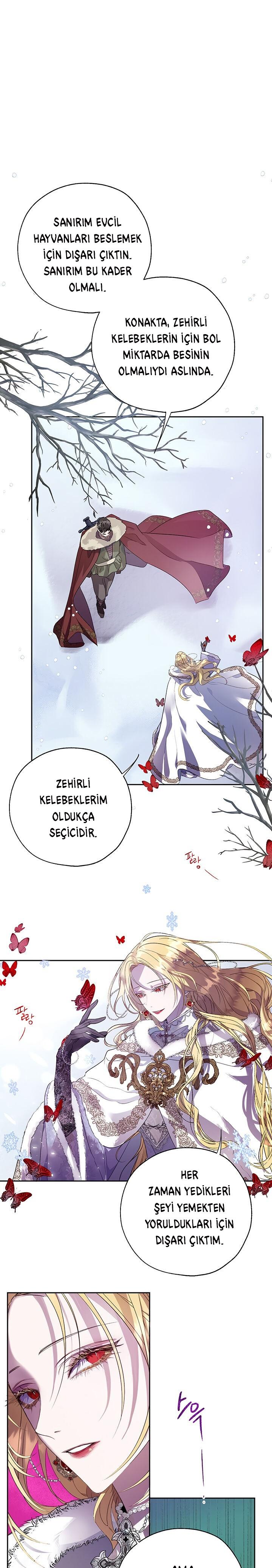 2-cm2xdfr0s0001tt82570od8ls