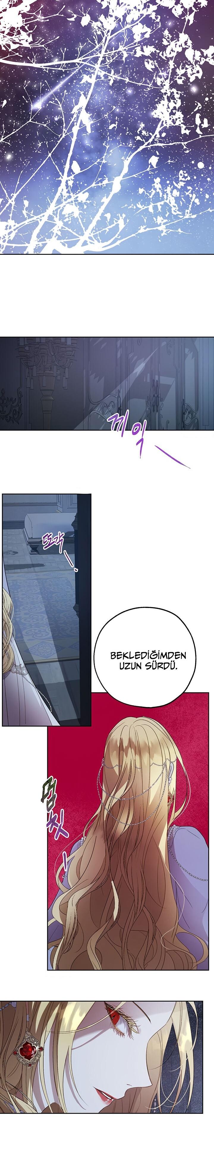 12-cm2xdfr0s0001tt82570od8ls