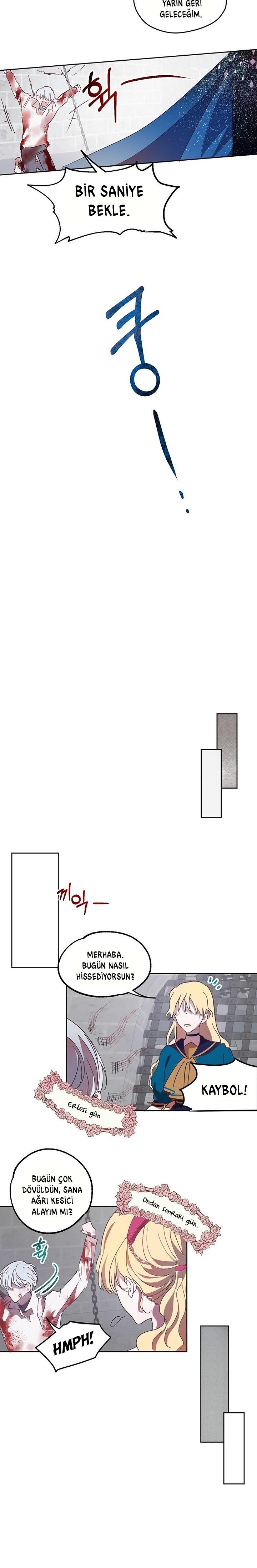 12-cm2xdfr0s0001tt82570od8ls