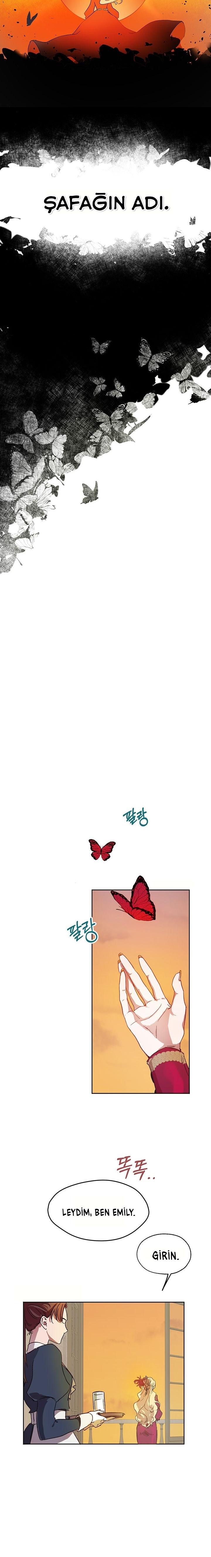 17-cm2xdfr0s0001tt82570od8ls