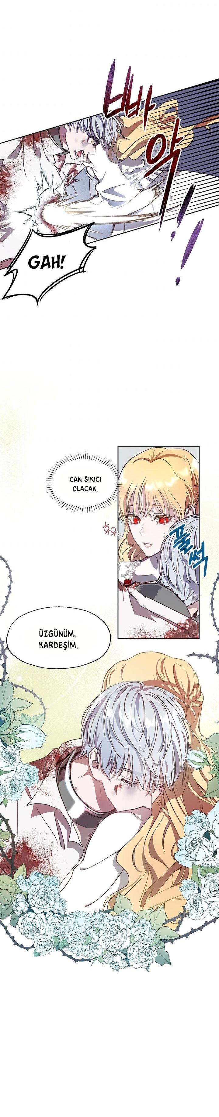 3-cm2xdfr0s0001tt82570od8ls