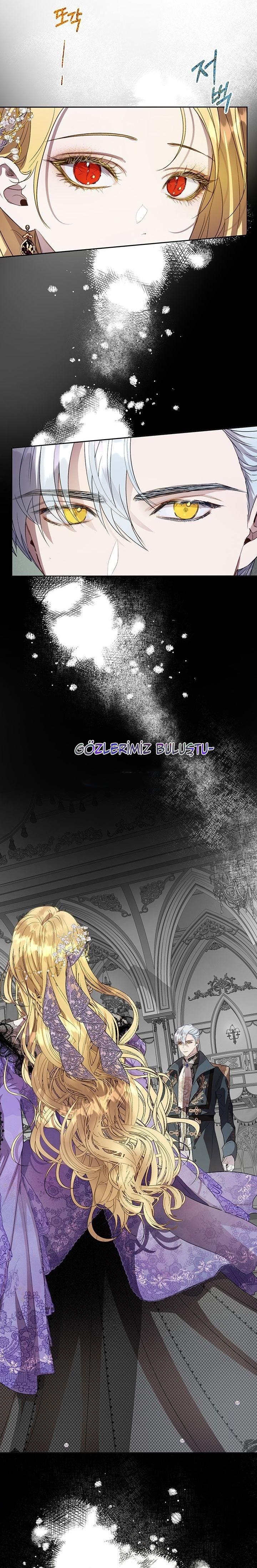6-cm2xdfr0s0001tt82570od8ls