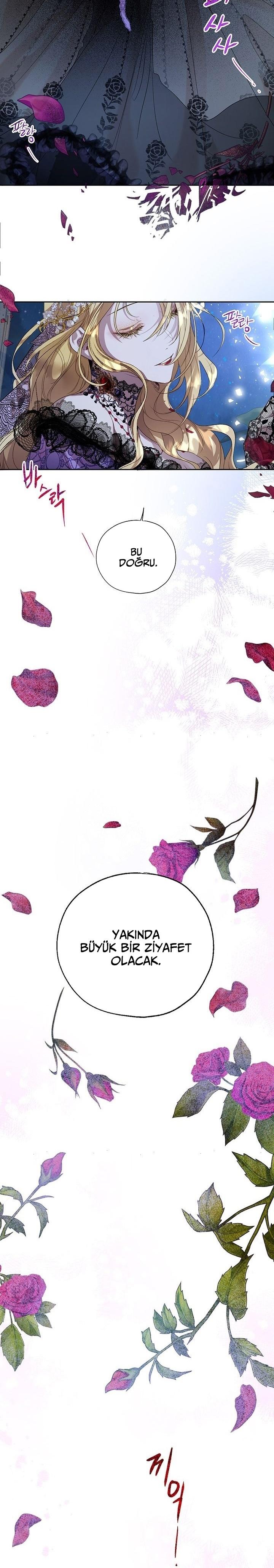 13-cm2xdfr0s0001tt82570od8ls