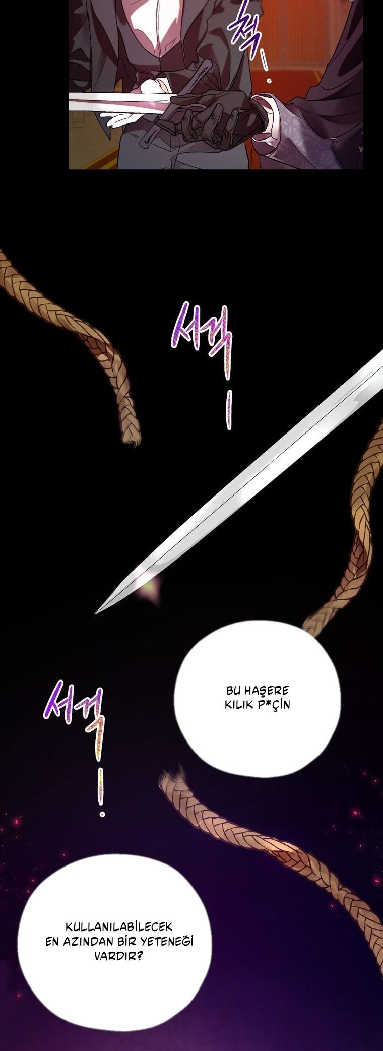 24-cm2xdfr0s0001tt82570od8ls