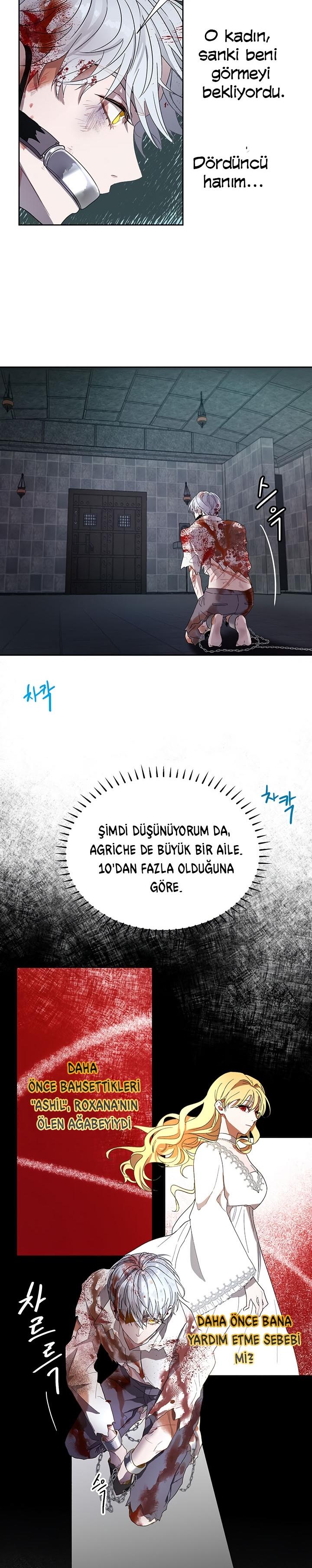 15-cm2xdfr0s0001tt82570od8ls