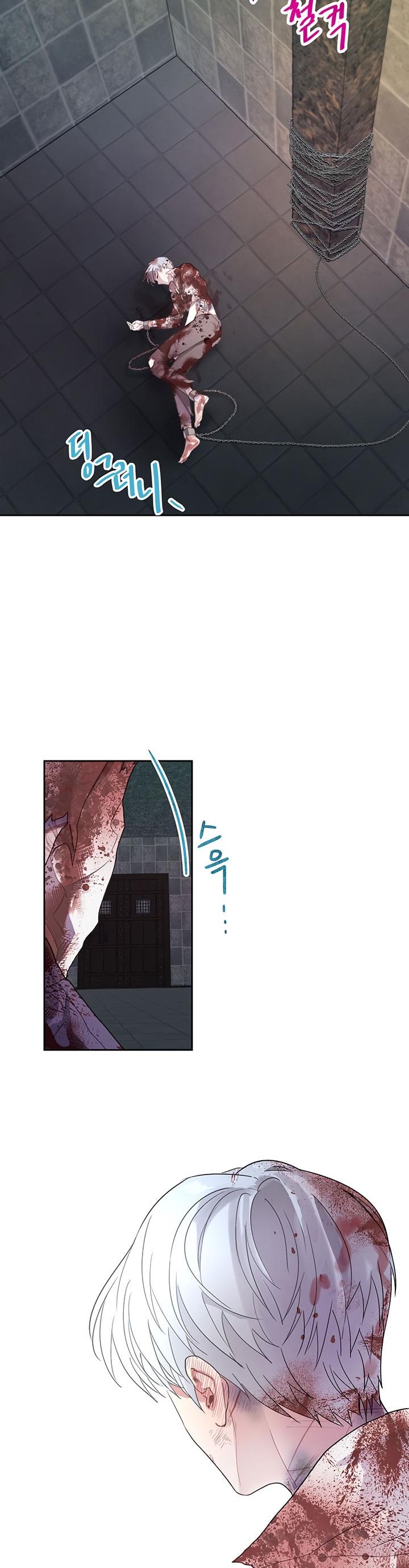 24-cm2xdfr0s0001tt82570od8ls