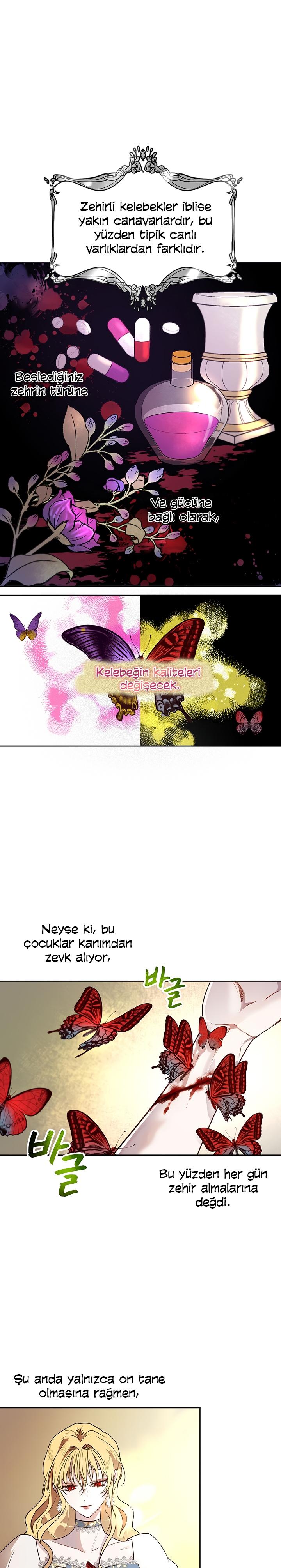 2-cm2xdfr0s0001tt82570od8ls