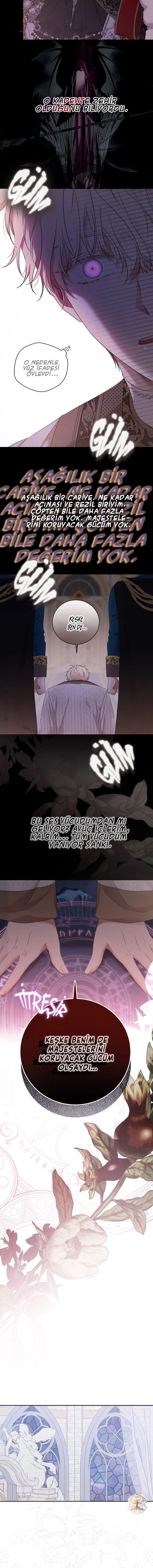 2-cmnq2268807i4ucwa0pciz3a1