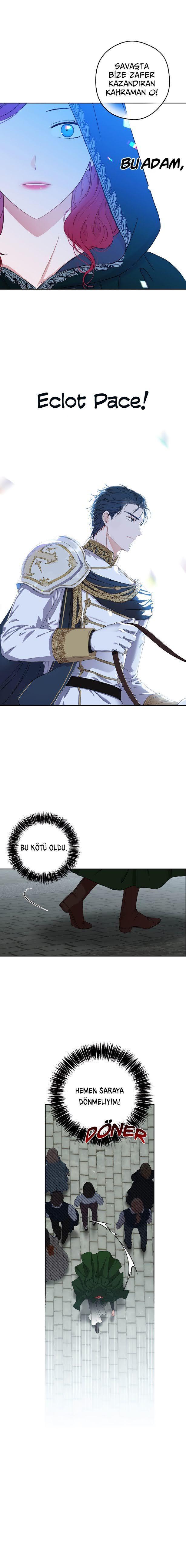 12-cmnq2268807i4ucwa0pciz3a1