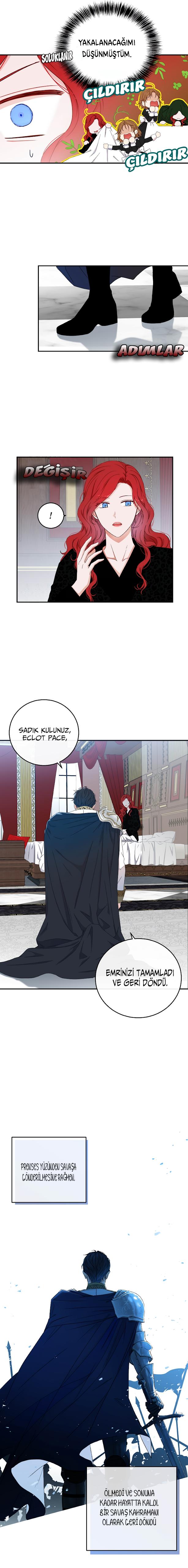 3-cmnq2268807i4ucwa0pciz3a1