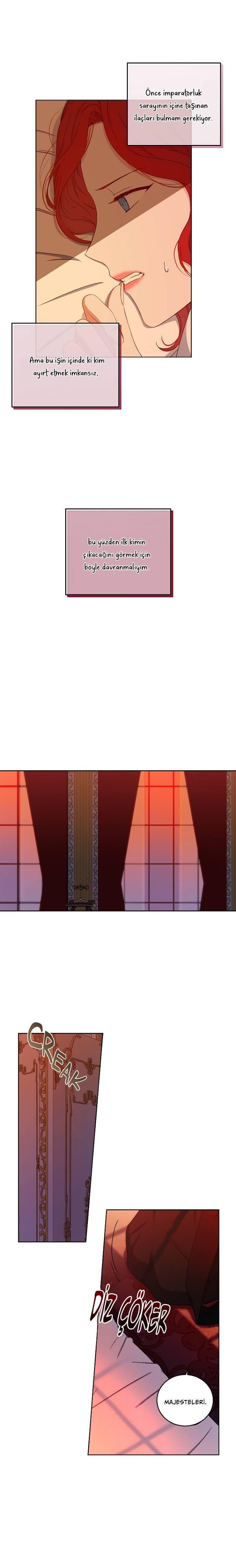 13-cmnq2268807i4ucwa0pciz3a1