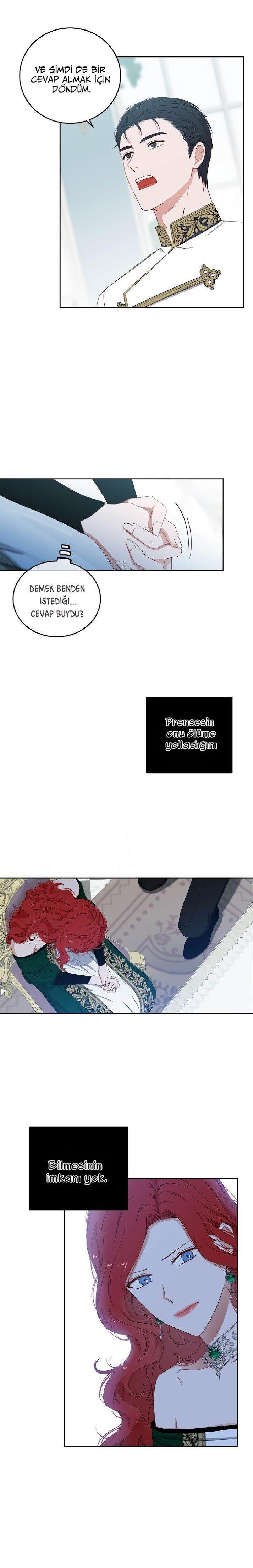 13-cmnq2268807i4ucwa0pciz3a1