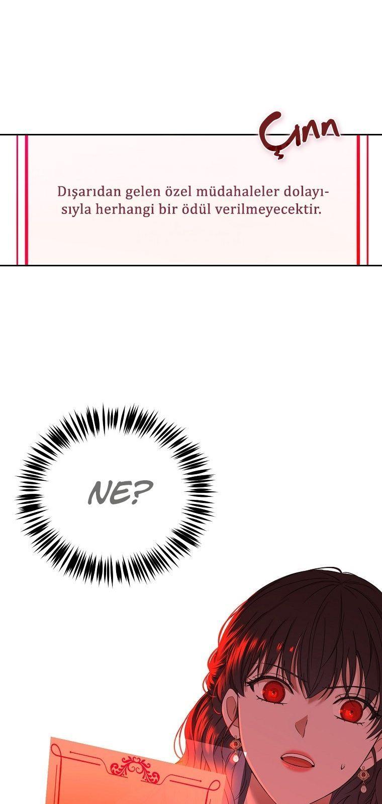 22-cmnq2268807i4ucwa0pciz3a1