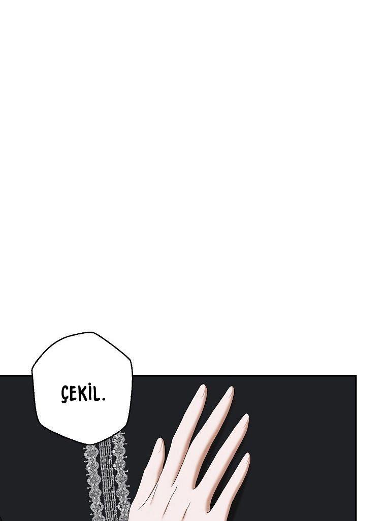 16-cmnq2268807i4ucwa0pciz3a1