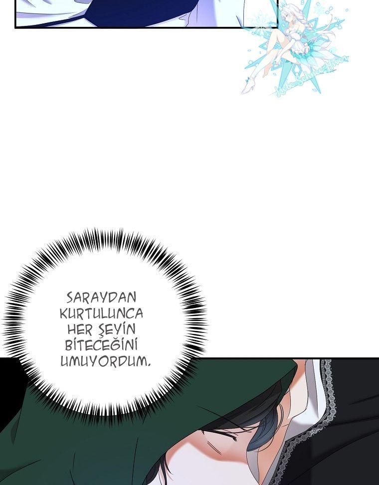 62-cmnq2268807i4ucwa0pciz3a1