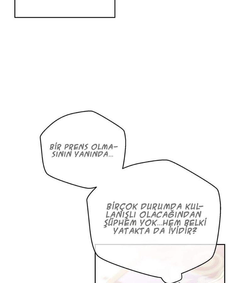 58-cmnq2268807i4ucwa0pciz3a1