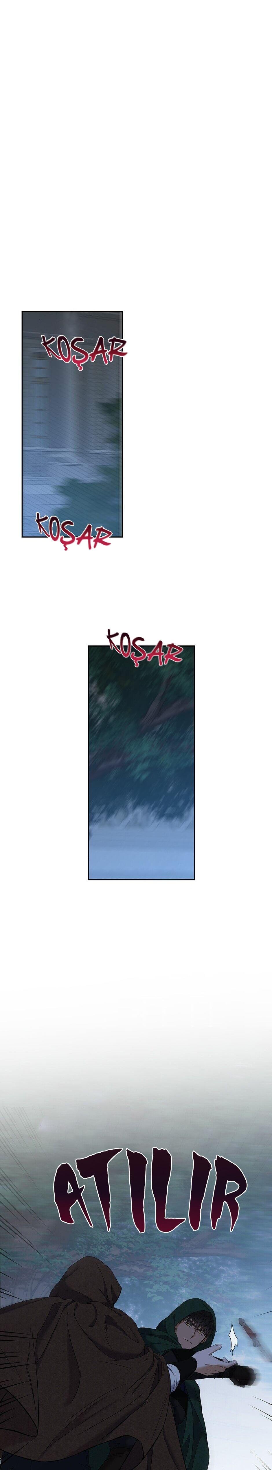 2-cmnq2268807i4ucwa0pciz3a1