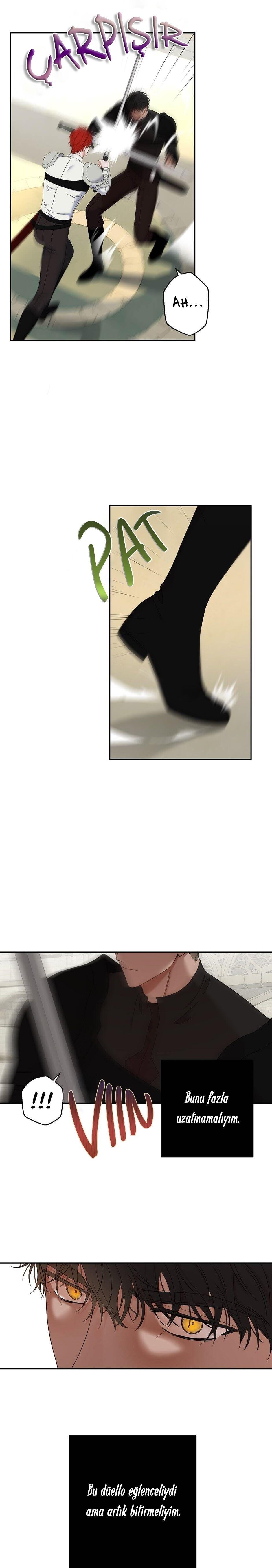 11-cmnq2268807i4ucwa0pciz3a1