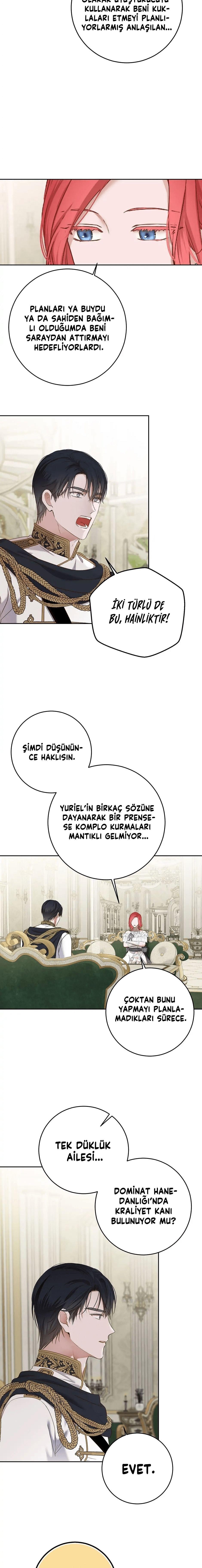 8-cmnq2268807i4ucwa0pciz3a1