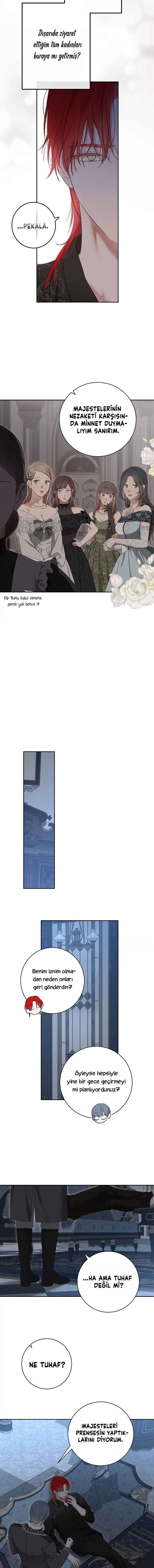 2-cmnq2268807i4ucwa0pciz3a1