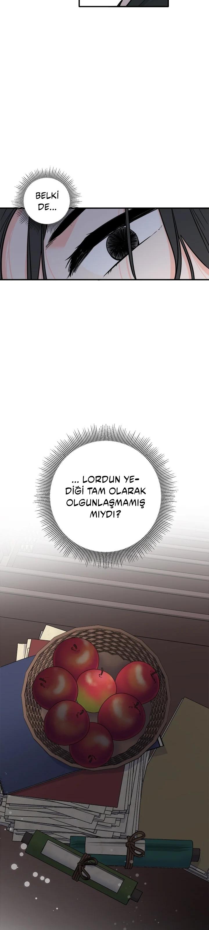 17-cmc1vvo430025phxcd4xhnki2