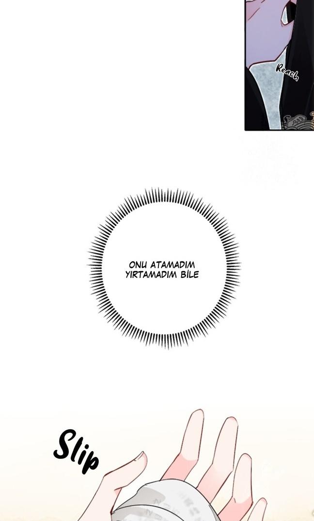 8-cmc1vvo430025phxcd4xhnki2