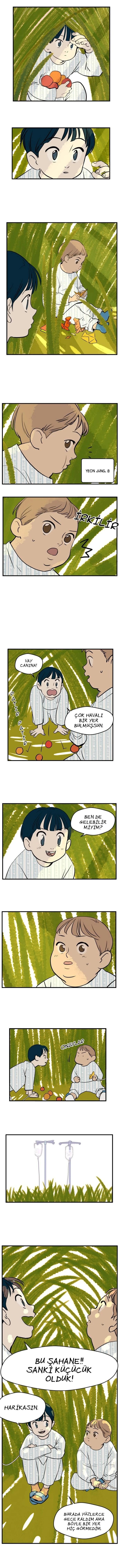 3-cm5ya3xt20000eovjogi0rsko