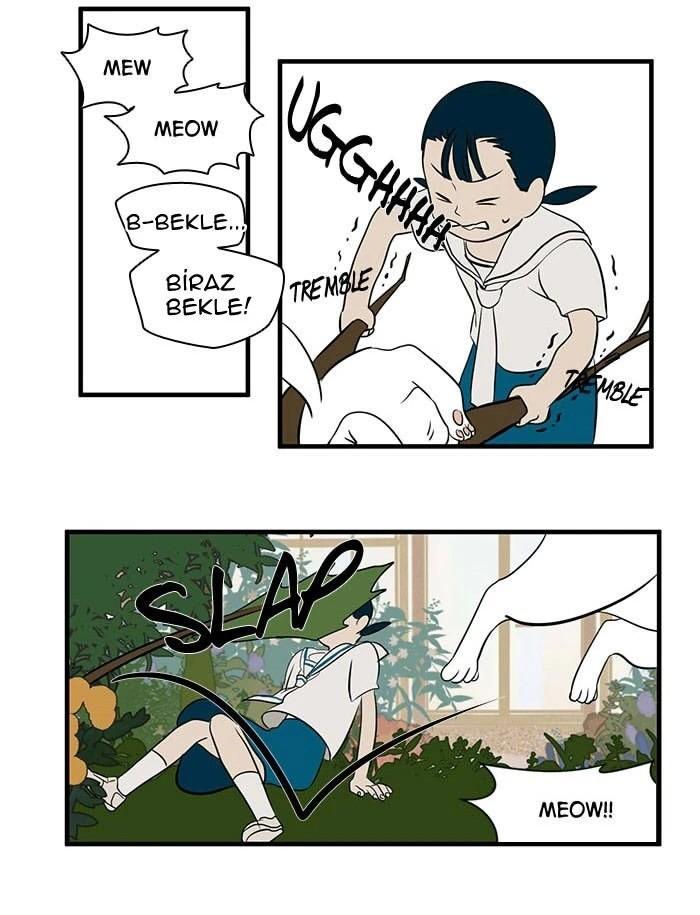 48-cm5ya3xt20000eovjogi0rsko
