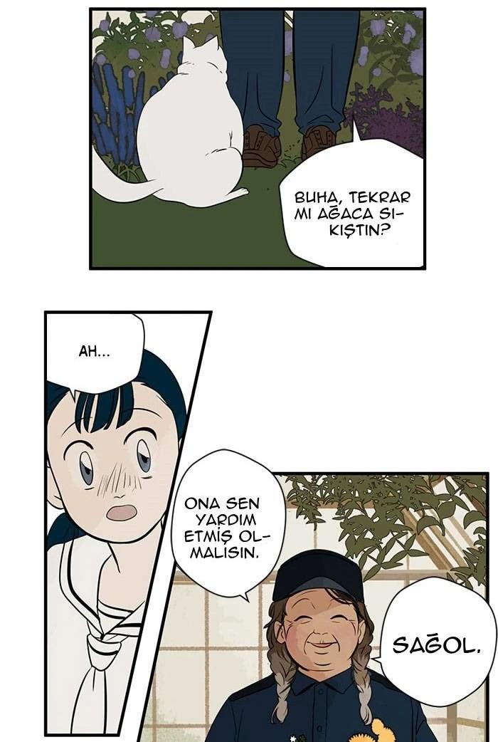 49-cm5ya3xt20000eovjogi0rsko