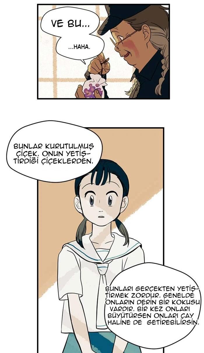 56-cm5ya3xt20000eovjogi0rsko