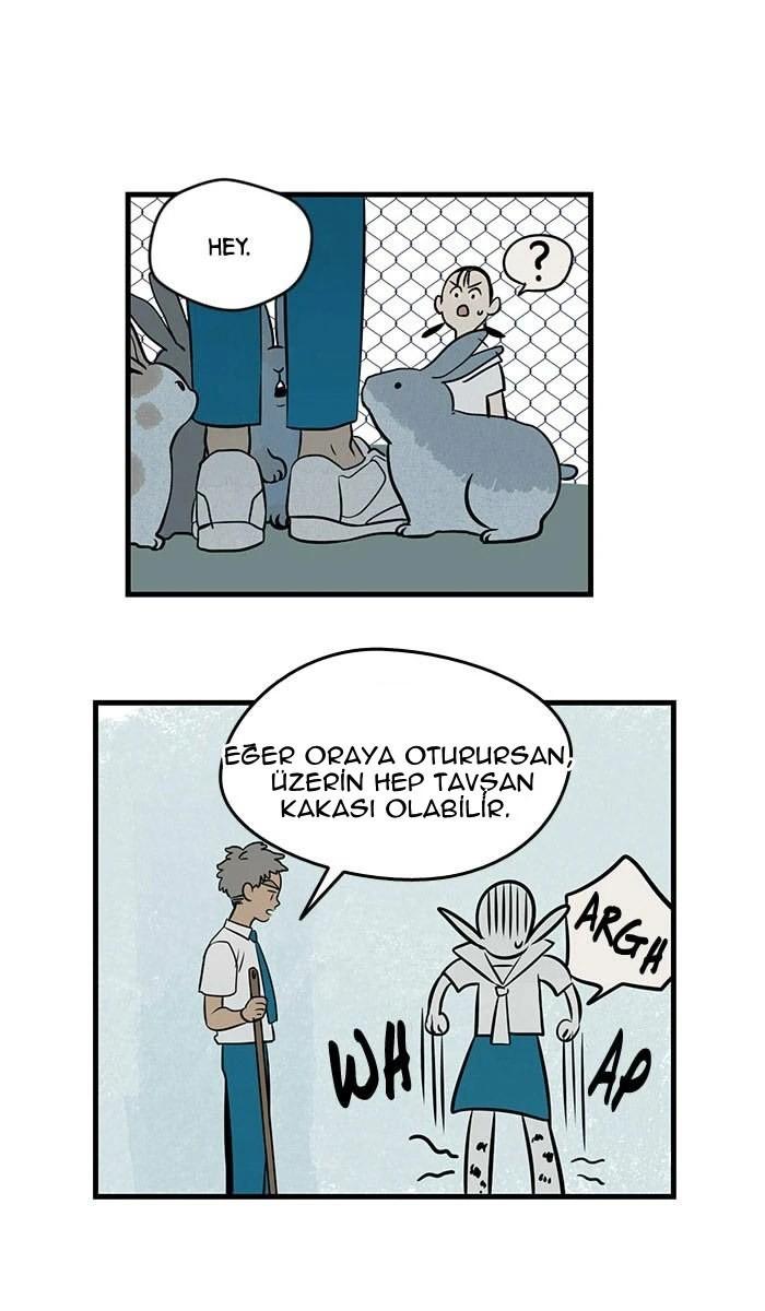 13-cm5ya3xt20000eovjogi0rsko