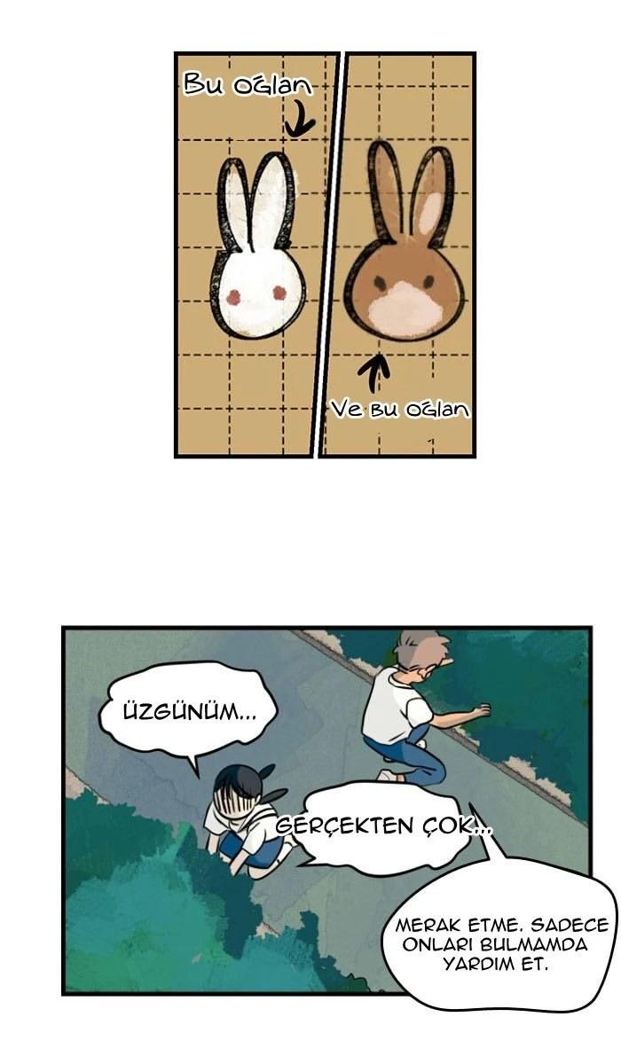 15-cm5ya3xt20000eovjogi0rsko