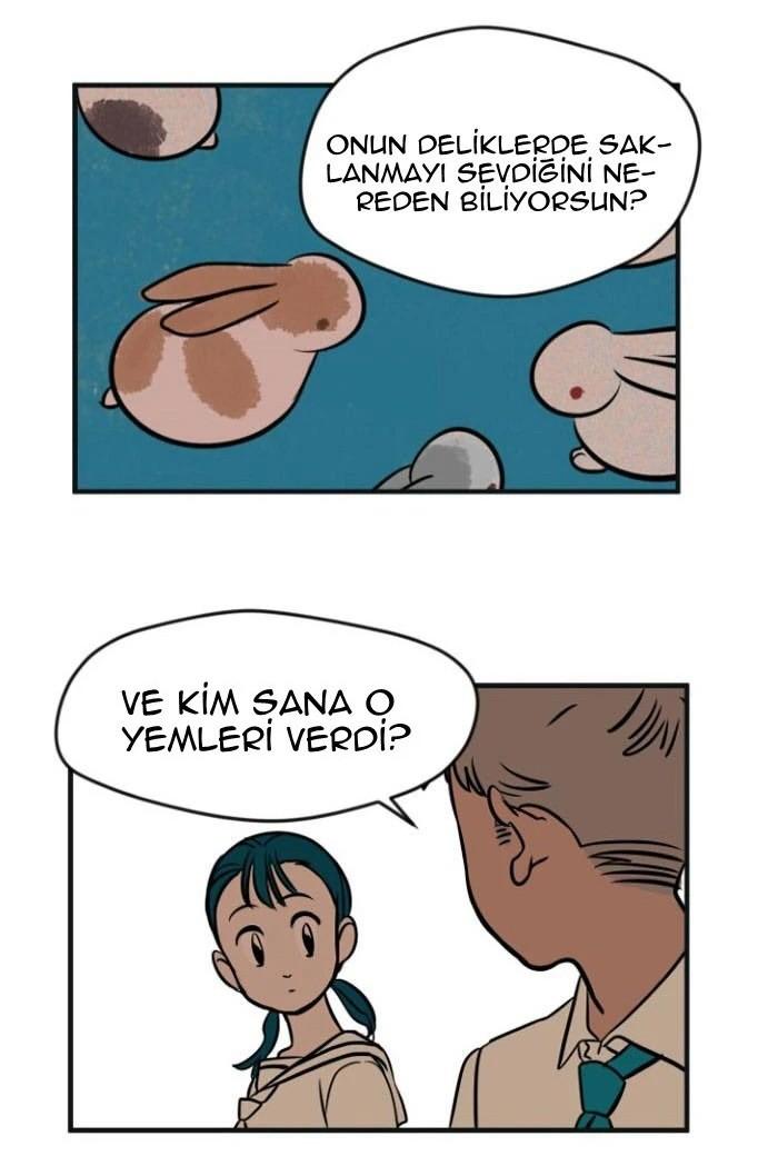37-cm5ya3xt20000eovjogi0rsko