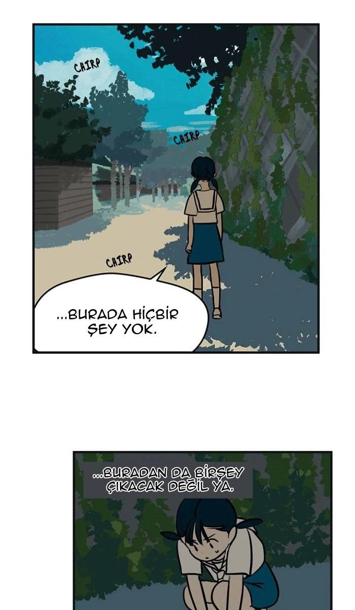 62-cm5ya3xt20000eovjogi0rsko
