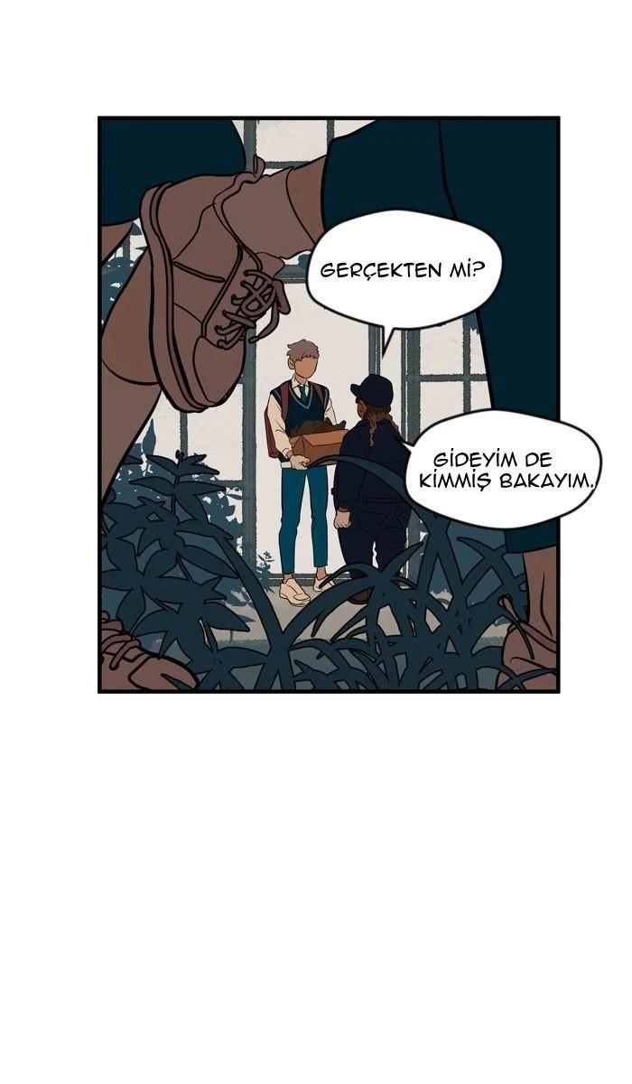 24-cm5ya3xt20000eovjogi0rsko