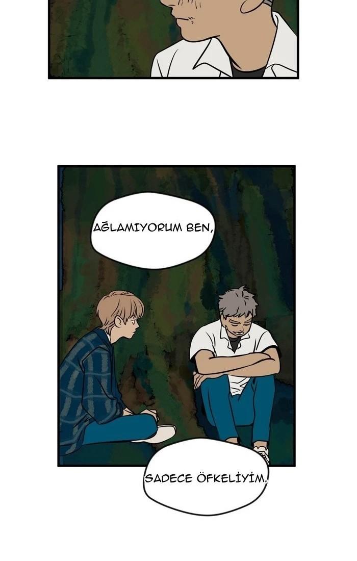 16-cm5ya3xt20000eovjogi0rsko