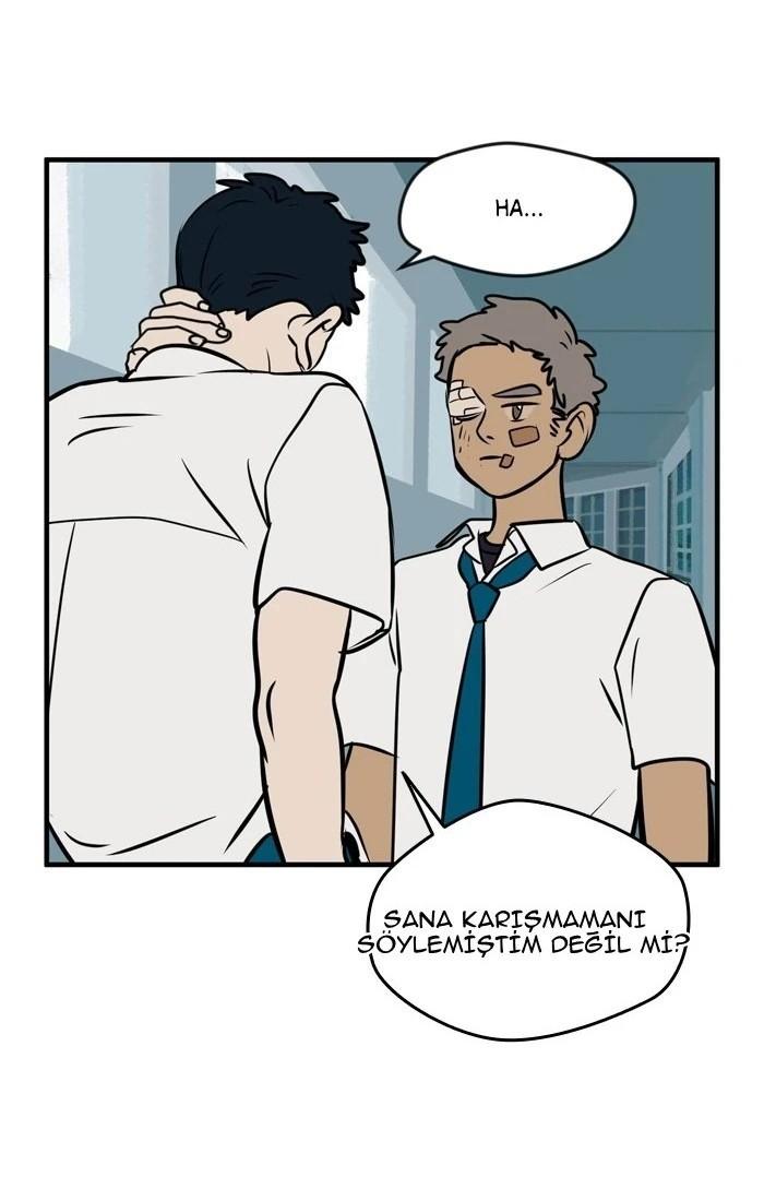 56-cm5ya3xt20000eovjogi0rsko
