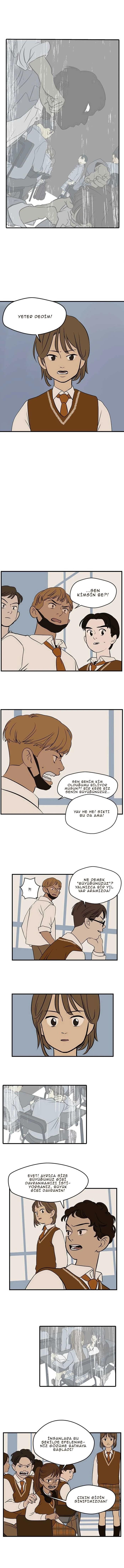 11-cm5ya3xt20000eovjogi0rsko