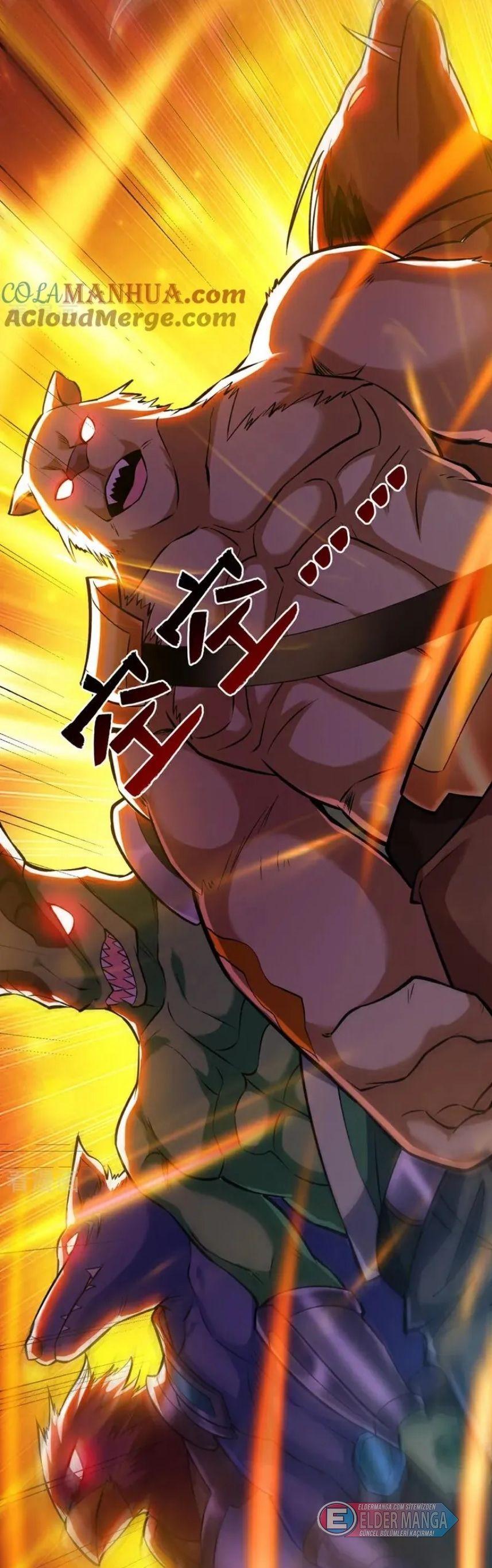 11-cmnq2268807i4ucwa0pciz3a1