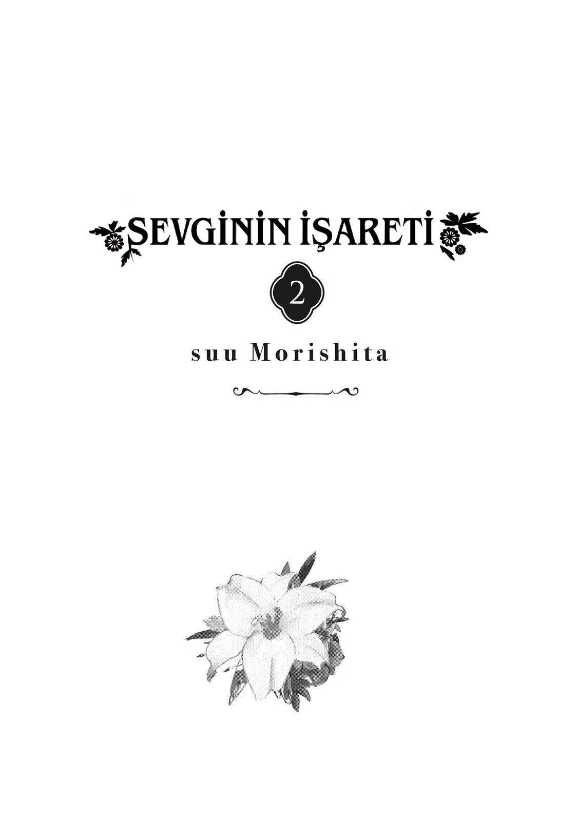 3-cm5ya3xt20000eovjogi0rsko