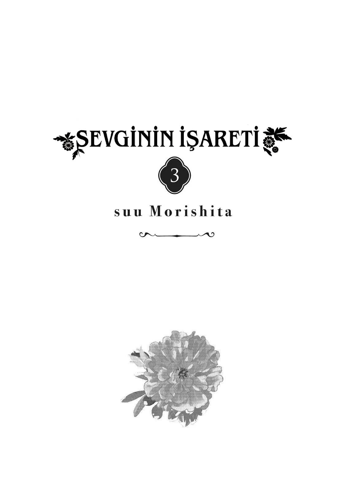 3-cm5ya3xt20000eovjogi0rsko