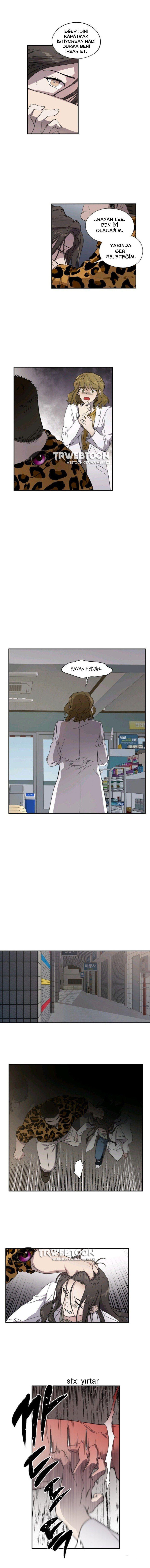 10-cmnq2268807i4ucwa0pciz3a1