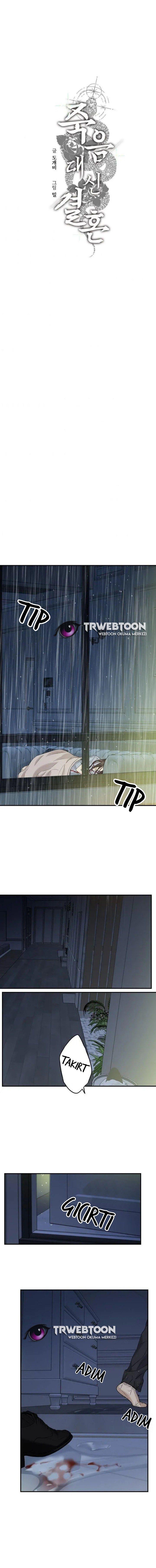 2-cmnq2268807i4ucwa0pciz3a1