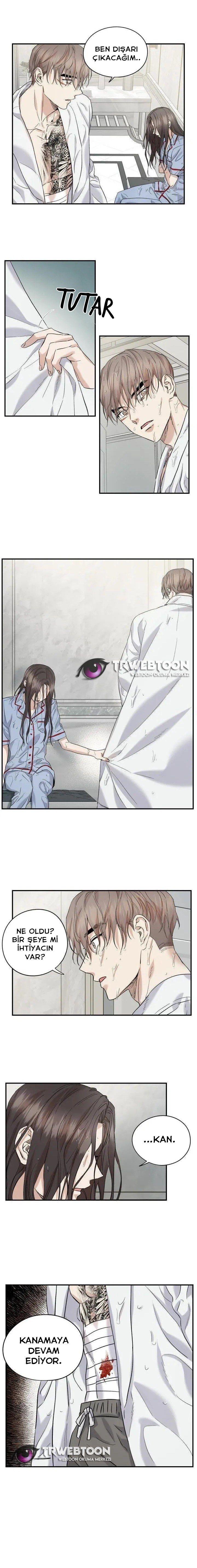 3-cmnq2268807i4ucwa0pciz3a1