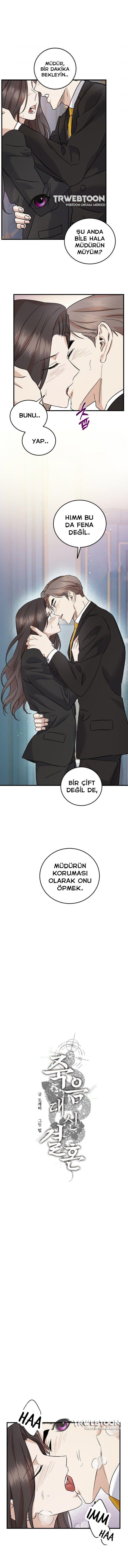 2-cmnq2268807i4ucwa0pciz3a1