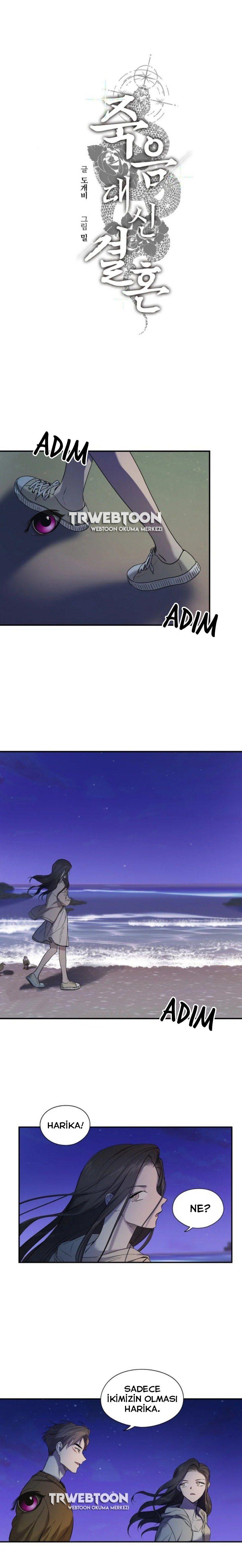 2-cmnq2268807i4ucwa0pciz3a1