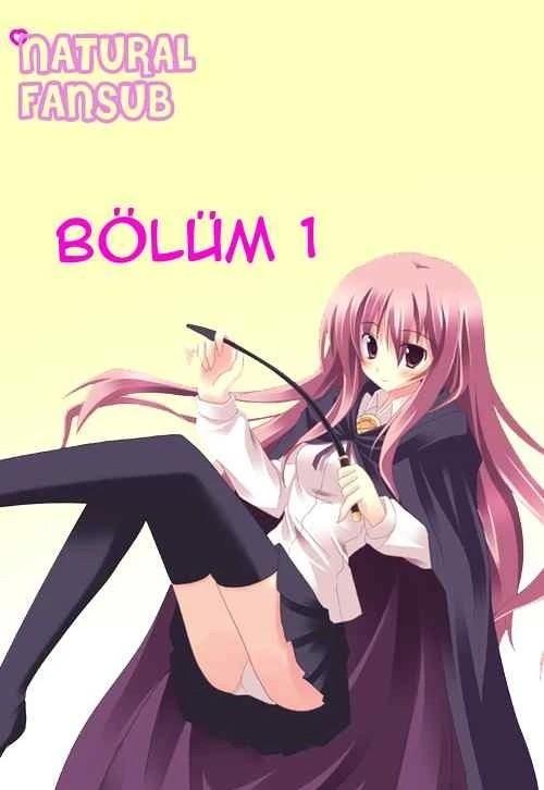 1-cm5ya3xt20000eovjogi0rsko