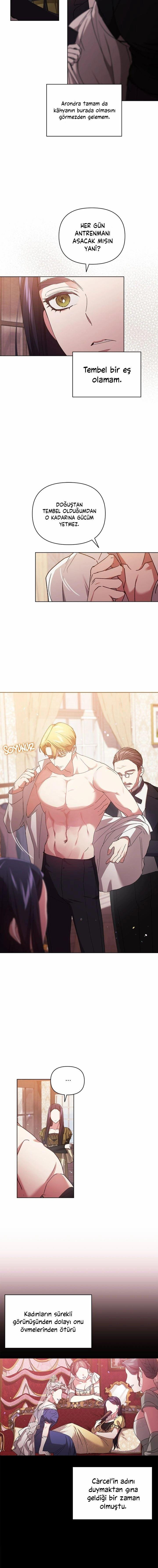 6-cmnq2268807i4ucwa0pciz3a1